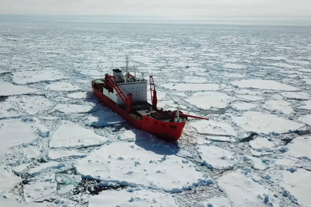 istock Ice-enpalled naldo, ice breaking ship. 1195915412