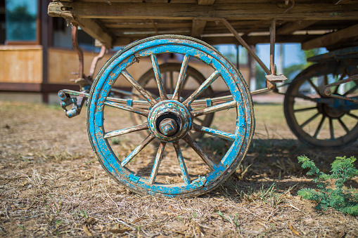 old horse car in the farm