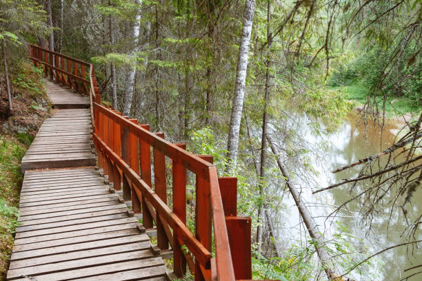 istock a walking path made of wood with a railing to prevent falling 1195920104