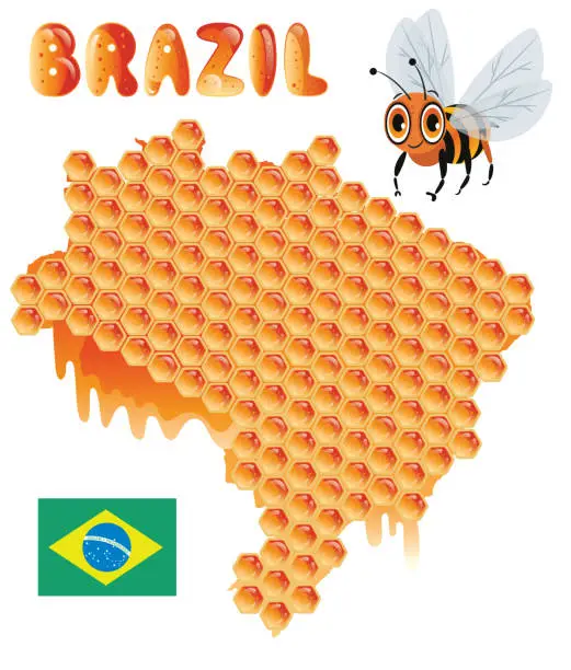 Vector illustration of Brazil, Honeycomb, Bee and Honey, Sao Paulo, Rio de Janeiro, Salvador, Fortaleza, Belo Horizonte, Brasilia, Curitiba, Manaus, Recife, Belem, Porto Alegre, Goiania, Guarulhos, Campinas, Nova Iguacu, Maceio, Sao Luis , Duque de Caxias, Natal, Teresina