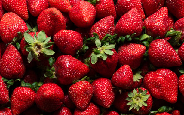 istock Strawberry Aerial View 1195922509