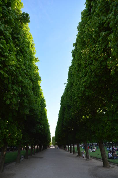 istock Spring time in Paris, France 1195922851