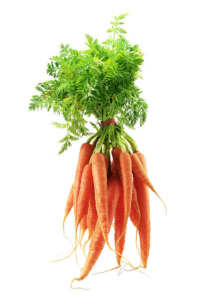 istock Bunch of Carrots 119592465