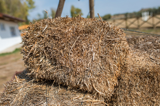 hay texture background