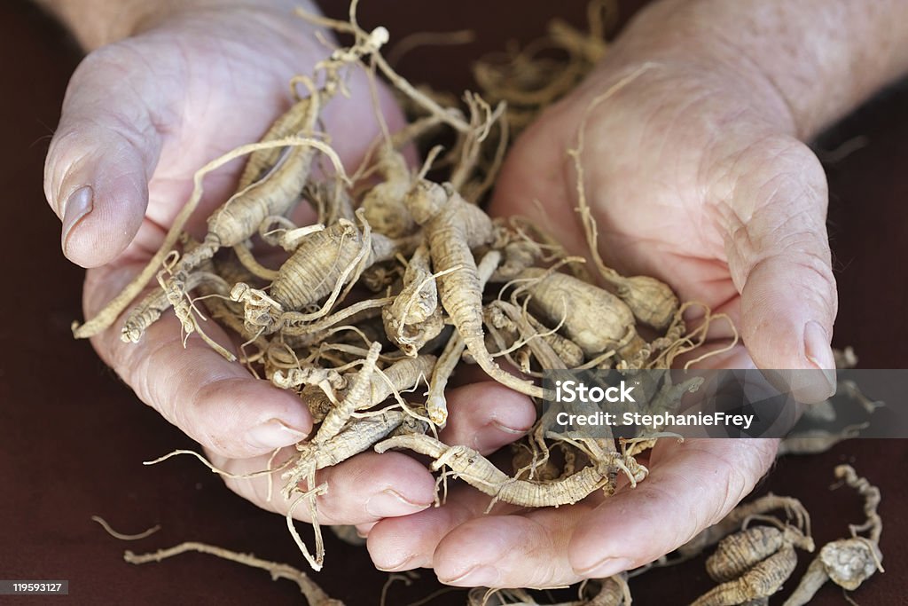 Ginseng  Ginseng Stock Photo