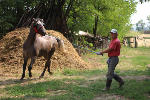 istock Man walking with horse 1195931943