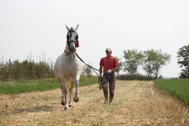 istock Man walking with horse 1195932457