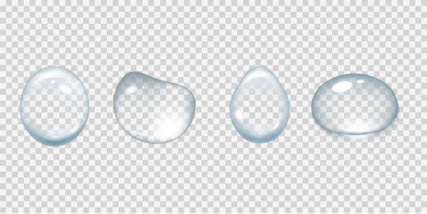 ilustrações, clipart, desenhos animados e ícones de a água cai isolada no fundo transparente. ilustração do vetor - water drop backgrounds macro