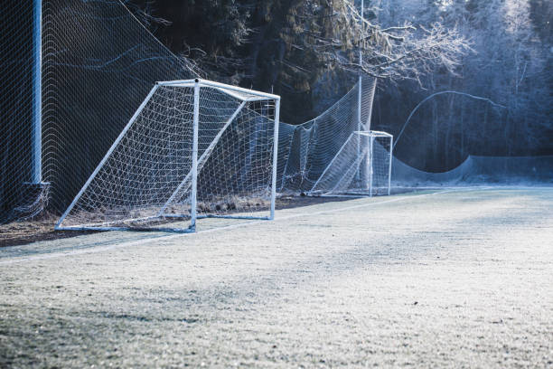 istock Snow covered soccer field, with forest background. 1195932693