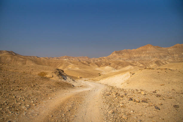 istock Judaean Desert, Israel 1195936034