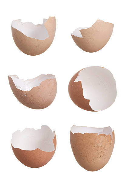Six cracked eggs stock photo