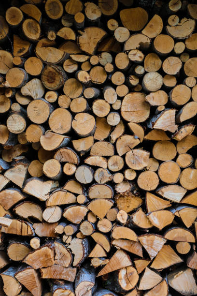 istock Stockpiling firewood for the long winter 1195943102