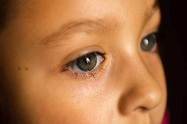 natural eyebrow , nose and eye without makeup of dark skinned female
