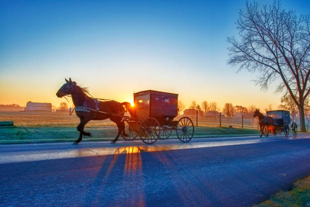 Amish Buggies at Dawn Amish Buggies at Dawn on Rural Indiana Road with Sun on Horizon amish photos stock pictures, royalty-free photos & images