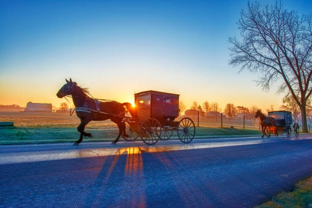 Amish Buggies at Dawn Amish Buggies at Dawn on Rural Indiana Road with Sun on Horizon Amish stock pictures, royalty-free photos & images