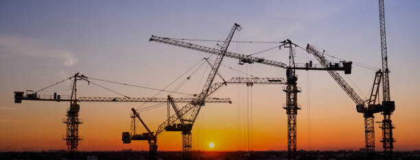istock Crane silhouette with sunrise in the background 1195947438