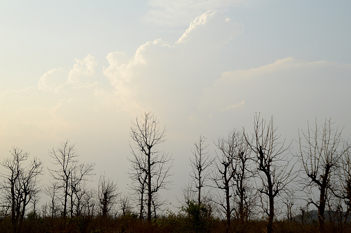 Dramatic sunset at Falls Creek with dead burnt trees in silhouette