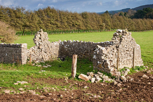 istock Old Stone Ruins with Trees and Stormy Sky 119596325