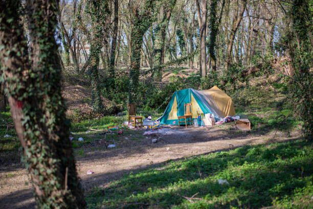istock A drifter's tent in a forest 1195964222
