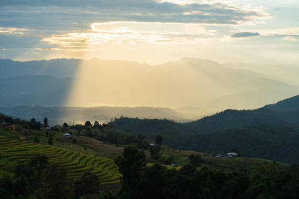 istock Sunlight ray shining on beautiful rice terraces 1195972473
