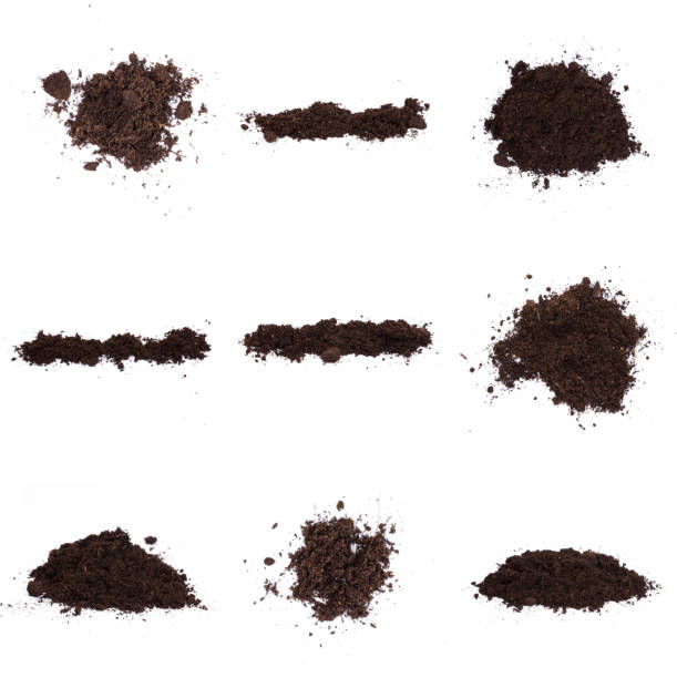 istock Patch of soil or mud isolated on white background 1195976071