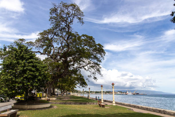 istock beautiful landscape at Rizal Boulevard, Dumaguete 1195978426