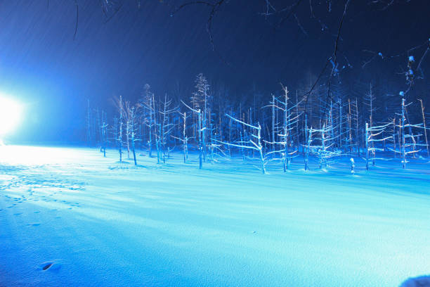 istock Illuminated winter lake in Biei 1195982903