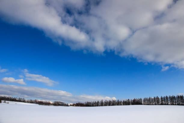 istock Snow field and blue winter sky 1195982908