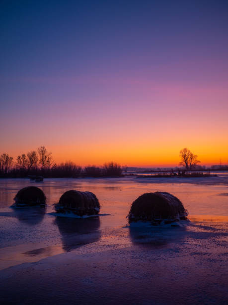 winter hay bale - wheat sunset bale autumn imagens e fotografias de stock