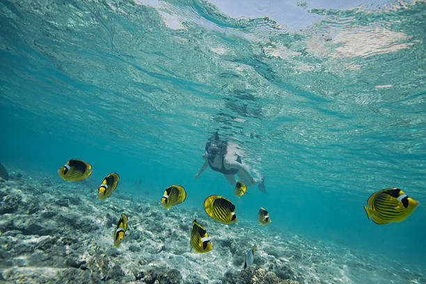 istock woman snorkeling 119599654