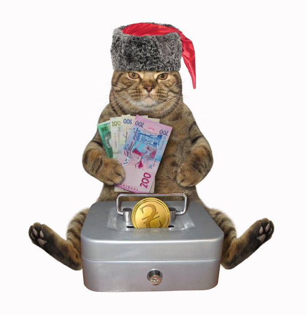 istock Cat cossack with metal safe 1195998638