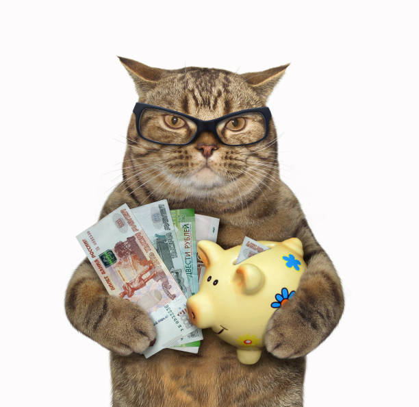 istock Cat holds piggy bank with rubles 1195998640