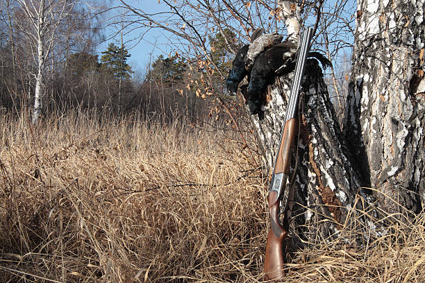 istock Gun and black grouse 119599975