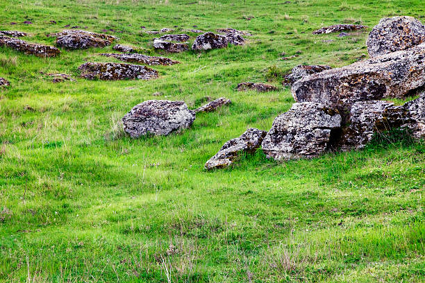 rocks and green field stock photo