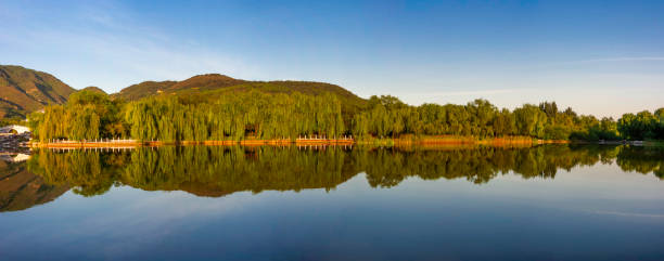istock Calm lake in the park 1196002748