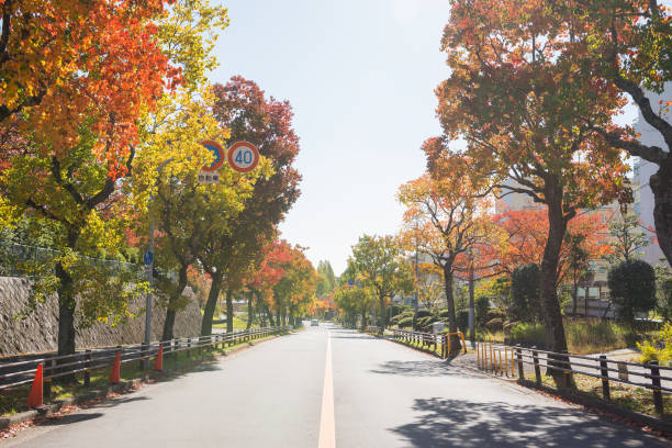 Suita city in autumn in Osaka