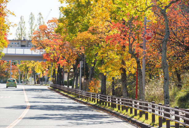 istock Suita city in autumn 1196005549
