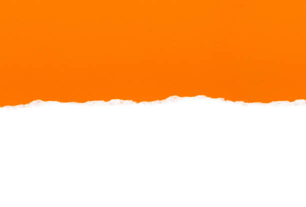 istock White paper with torn edges isolated with a bright orange color paper background inside. Good paper texture 1196006490