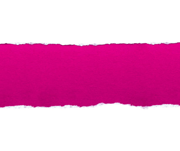papel branco com bordas rasgadas isoladas com um fundo de papel colorido rosa brilhante dentro. boa textura de papel - note rose image saturated color - fotografias e filmes do acervo