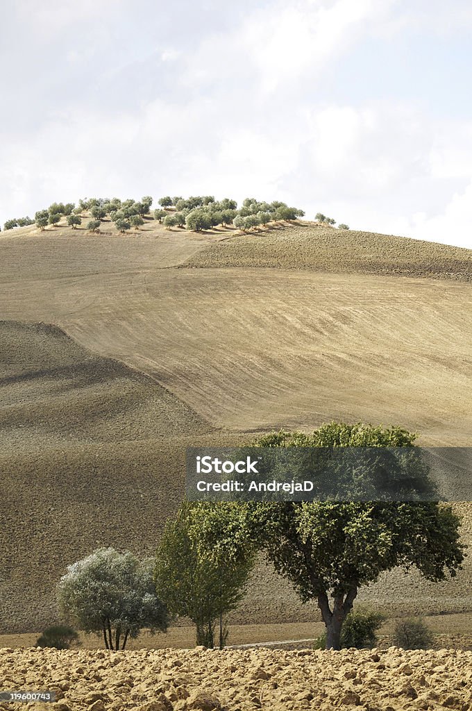 Colinas, Toscana - Foto de stock de Agricultura royalty-free