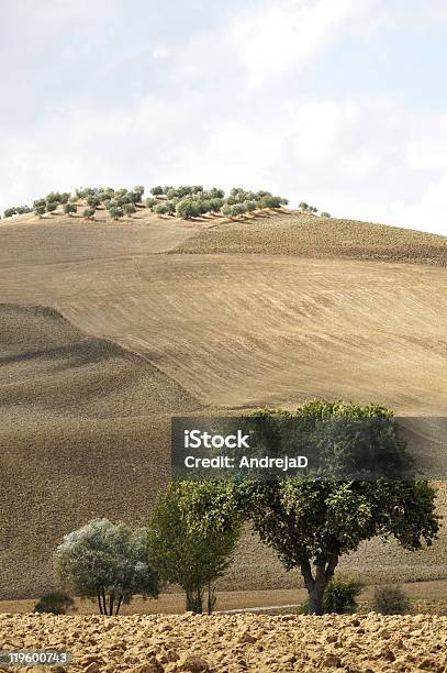 Foto de Colinas Toscana e mais fotos de stock de Agricultura - Agricultura, Azul, Beleza natural - Natureza