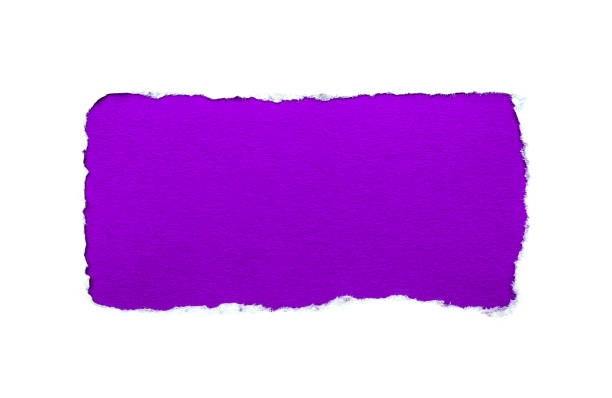 um buraco em papel branco com bordas rasgadas isoladas em um fundo branco com um fundo de papel colorido violeta brilhante dentro. boa textura de papel afiado. - note rose image saturated color - fotografias e filmes do acervo