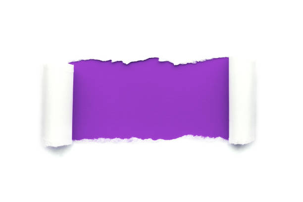 A hole in white paper with torn edges isolated on a white background with a bright violet color paper background inside. Good sharp paper texture.