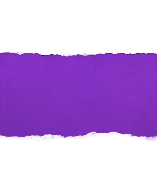 White paper with torn edges isolated with a bright violet color paper background inside. Good soft smooth paper texture.