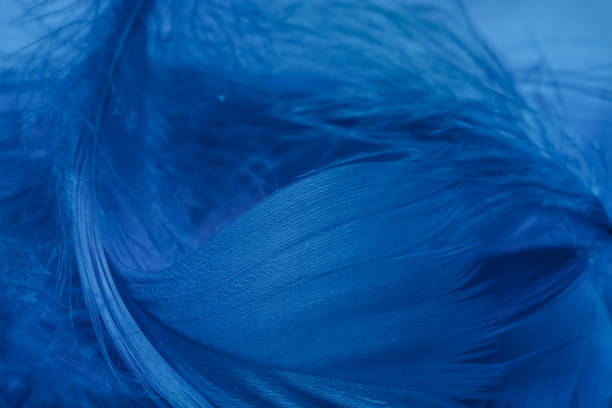 istock Close up Beautiful Blue trends  feather pattern texture background. Macro photography view. 1196009861