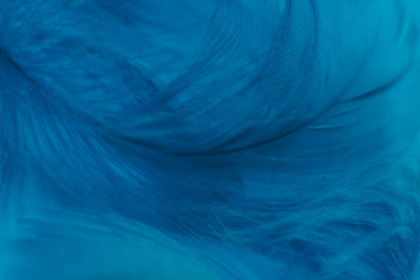 istock Beautiful Phantom Blue trends  feather pattern texture background. Macro photography view. 1196010506