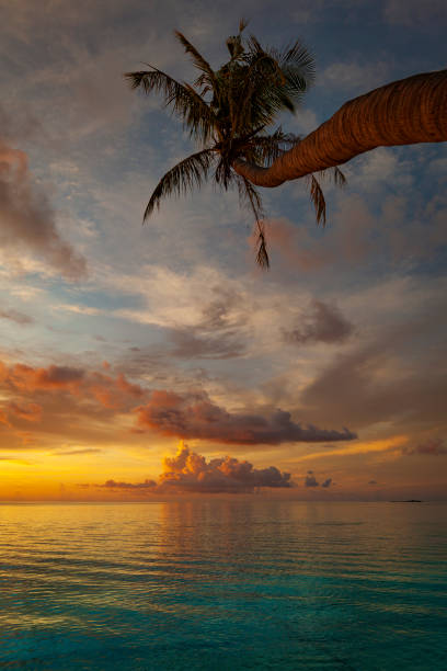 istock sunset at maldives islands 1196011629