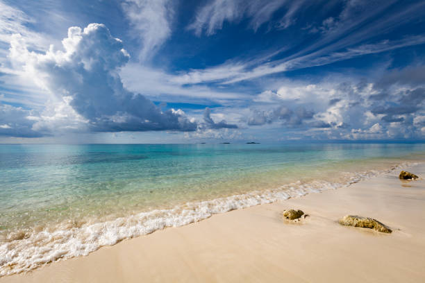 istock white sand beach and seascape, maldives 1196011690