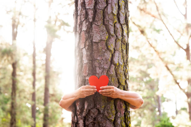 두 여성의 손은 나무 줄기를 껴안고 종이로 만든 빨간 마음을 들고 - 야외와 자연에 대한 사랑 - 지구의 날 개념. 삼림 벌채에서 지구를 저장 하는 사람들 - save the planet 뉴스 사진 이미지