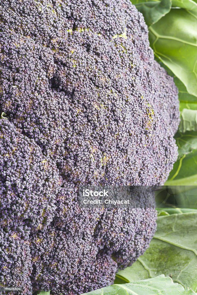 Purple Cauliflower  Cauliflower Stock Photo